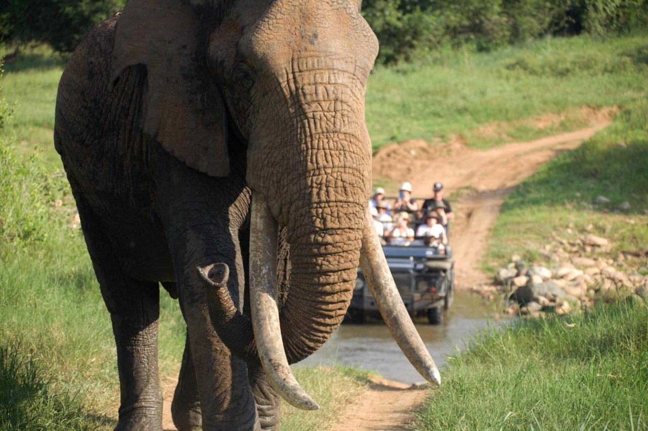 クナメ ロッジ Karongwe Game Reserve エクステリア 写真