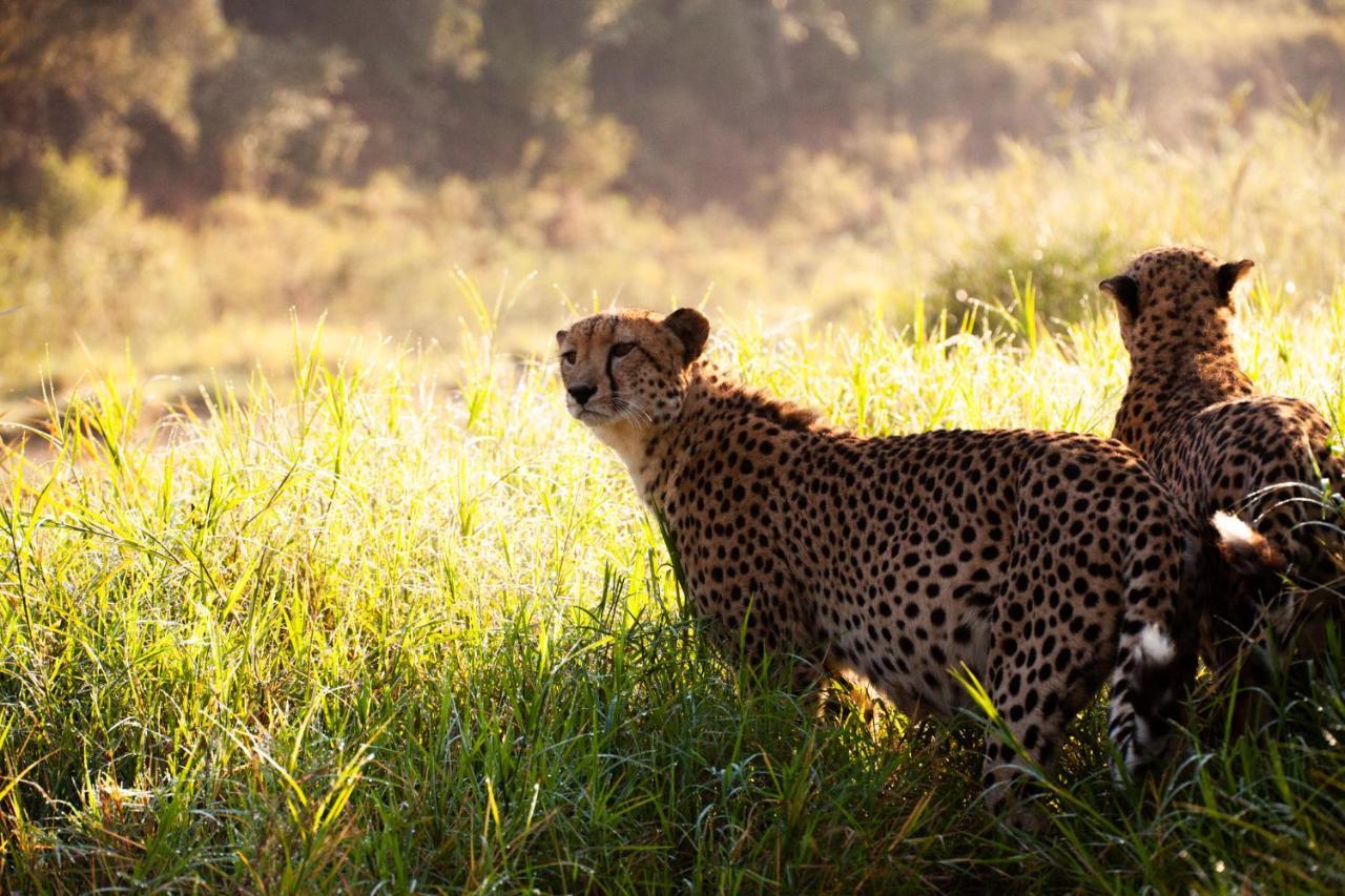 クナメ ロッジ Karongwe Game Reserve エクステリア 写真