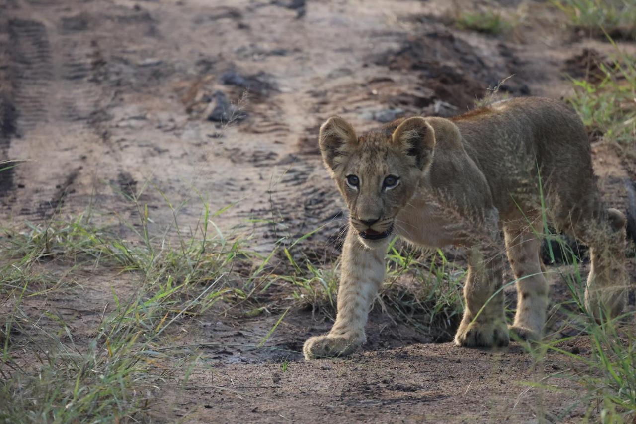 クナメ ロッジ Karongwe Game Reserve エクステリア 写真